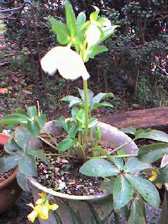 f0052337_1843782.jpg