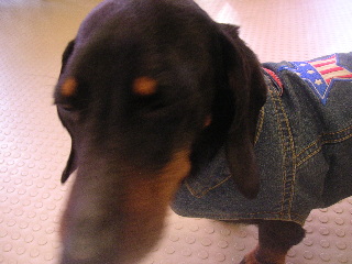 c0065643_13373796.jpg