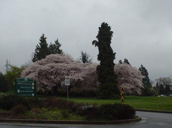 e0016845_14424693.jpg