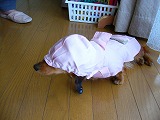 f0056250_22485649.jpg