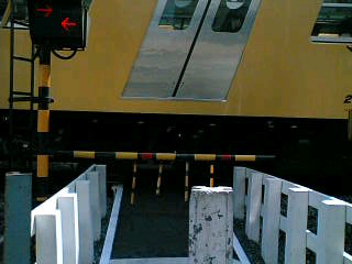 e0083359_2144547.jpg