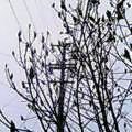 f0035460_7384584.jpg