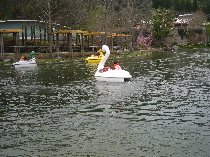 f0062162_15423867.jpg