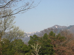 b0039373_1984162.jpg