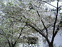 e0037673_2323399.jpg