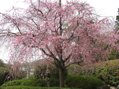 f0004182_0142724.jpg
