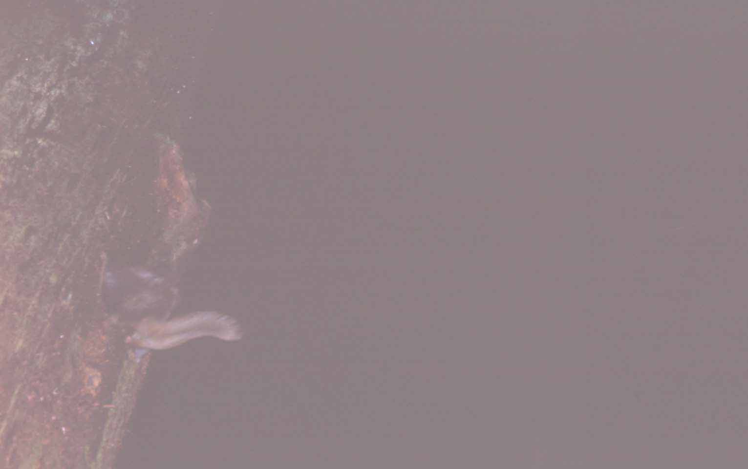 f0047593_964589.jpg