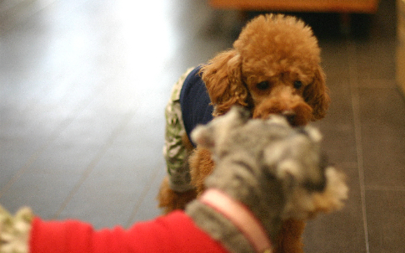 f0001895_1973693.jpg