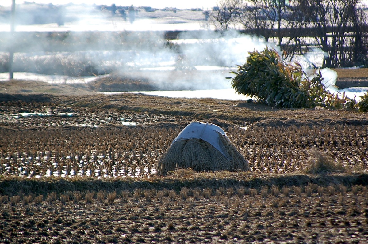a0062697_21445049.jpg