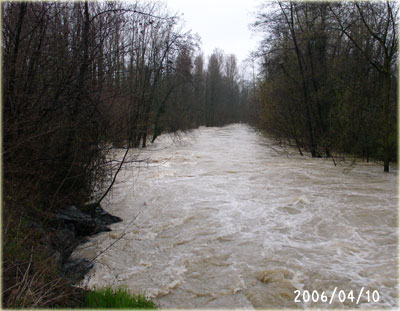 a0034198_19243216.jpg