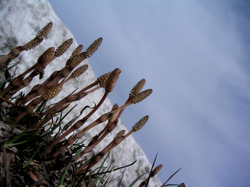 b0061004_23215619.jpg