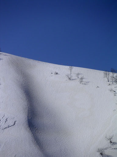 b0061004_2322858.jpg