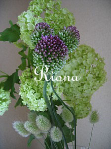 e0091804_15224476.jpg