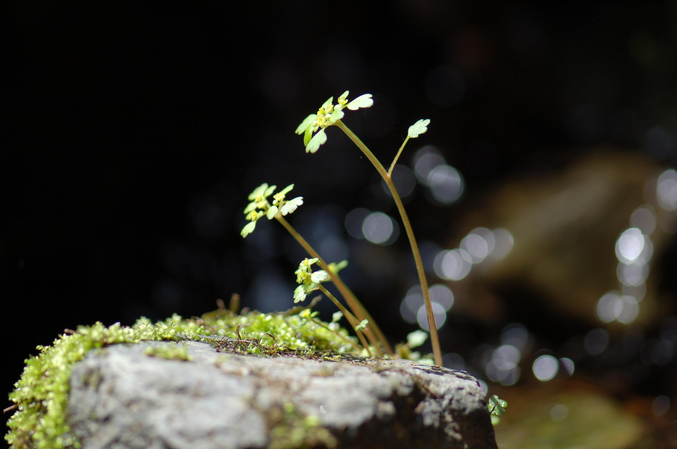 b0039226_701270.jpg