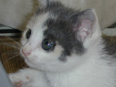 f0073833_12475812.jpg