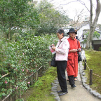 d0033734_18555145.jpg