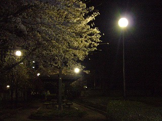 f0069140_8212125.jpg