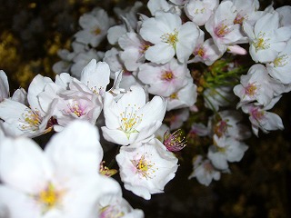 f0069140_8215986.jpg
