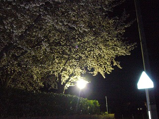f0069140_8222252.jpg