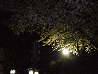 f0069140_8224478.jpg