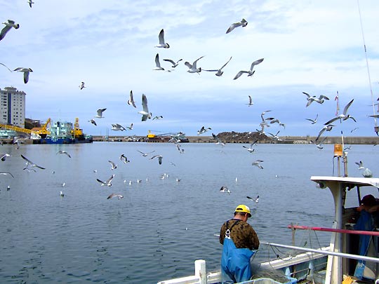 e0006242_16385170.jpg