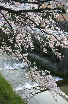 c0043751_9354738.jpg
