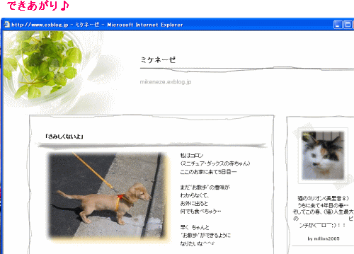 c0025852_11411145.gif