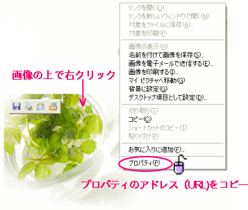 c0025852_1222242.gif