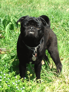 b0035453_20241831.gif