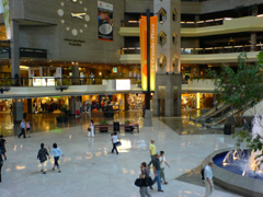 f0073254_22493976.jpg