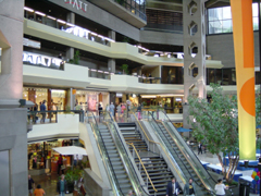 f0073254_22495073.jpg