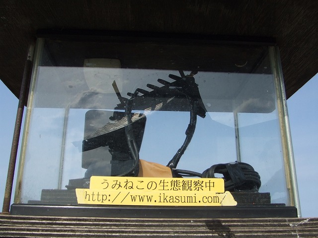 c0048667_12411840.jpg