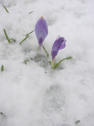 f0032969_1452521.jpg