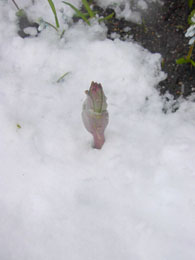 f0032969_14531421.jpg