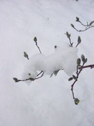 f0032969_14544180.jpg