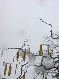 f0032969_1455754.jpg