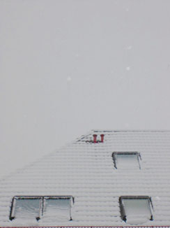 f0032969_1551238.jpg