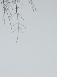 f0032969_1582647.jpg