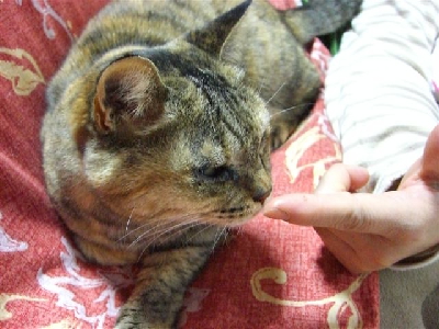 f0075573_11424099.jpg
