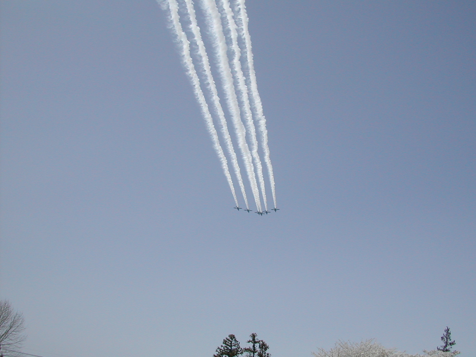 b0032079_221028.jpg