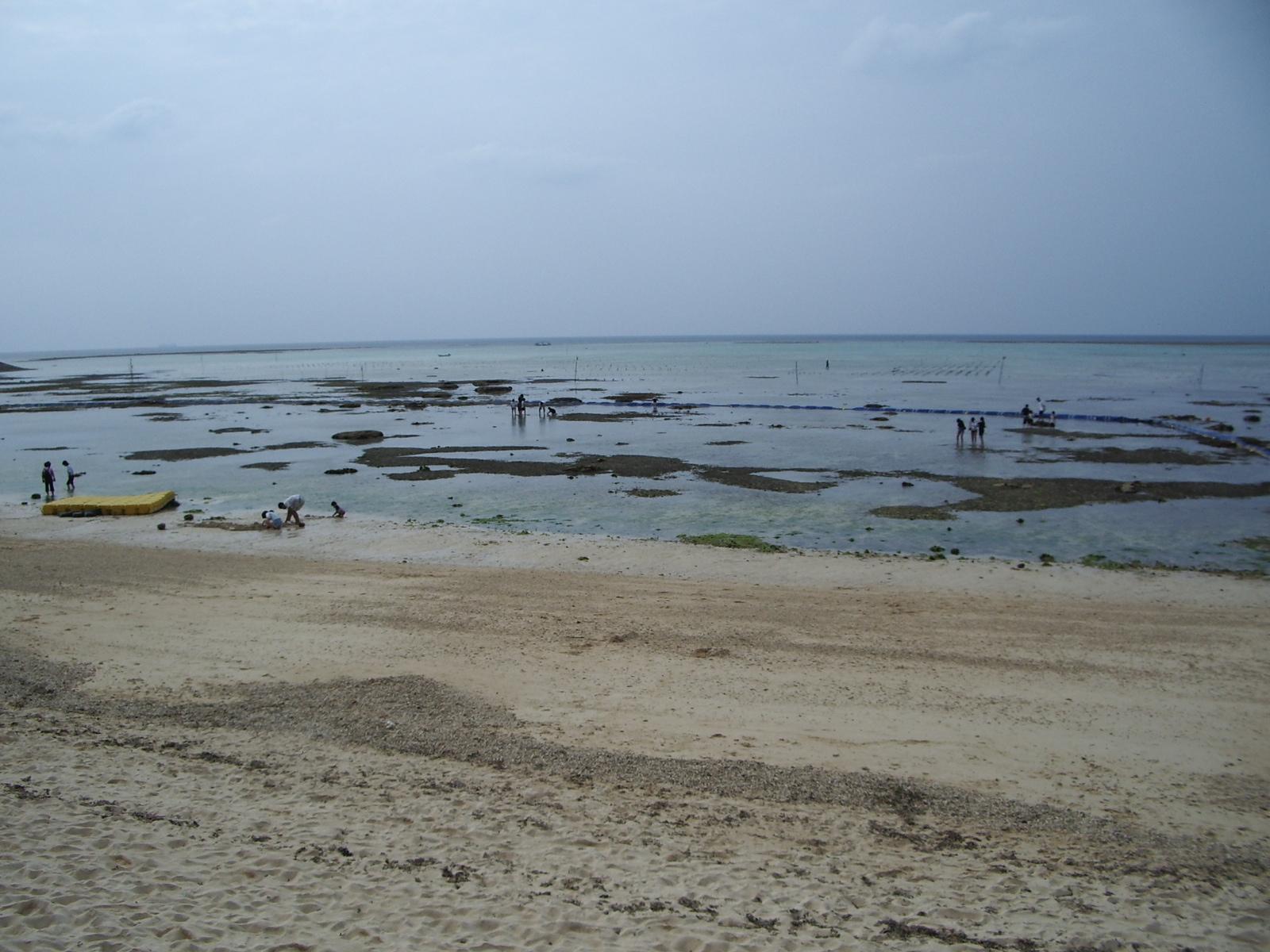 a0059183_13341649.jpg