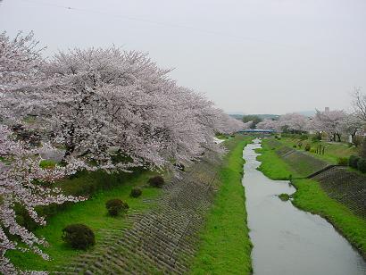 d0064990_1436149.jpg