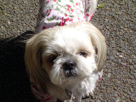 c0011204_0374766.jpg