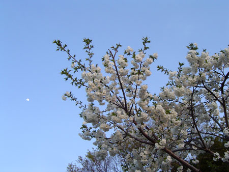 c0011204_0464941.jpg