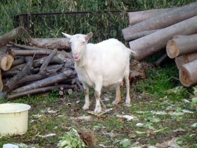 c0011204_0474983.jpg