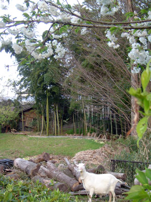 c0011204_0482911.jpg