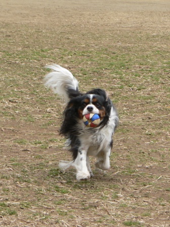 b0026706_237821.jpg