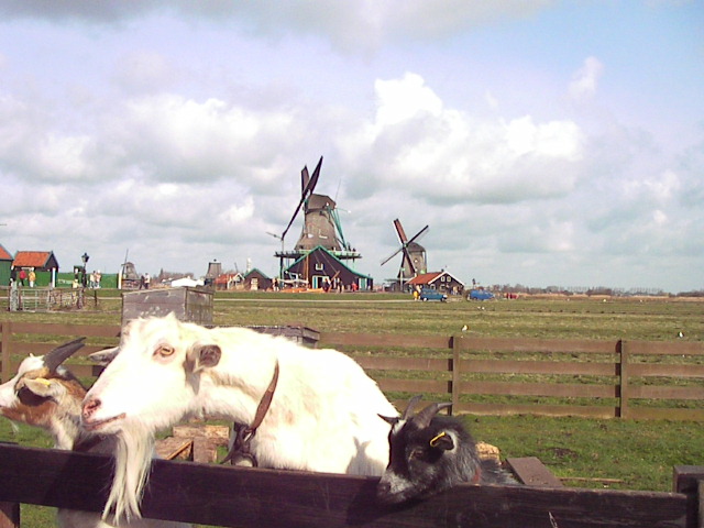 f0038407_559046.jpg