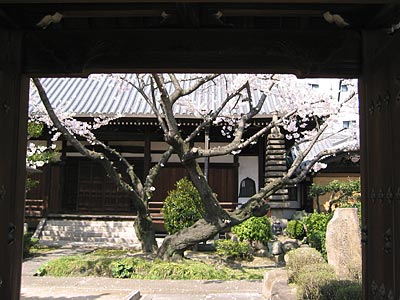 a0041508_18591727.jpg
