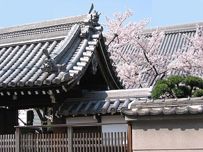 a0041508_18592814.jpg